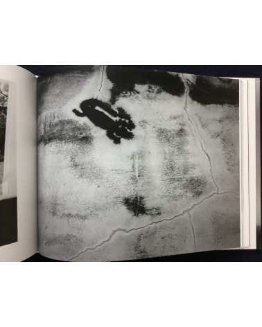 Nobuyoshi Araki - Tombeau Tokyo - 2016