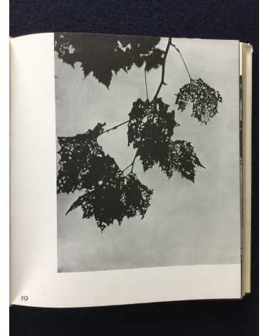 Giichi Kishi - Autumn Photography - 1938