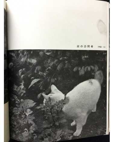 Hachiro Suzuki - Practical Photography Photographing Your Garden - 1938