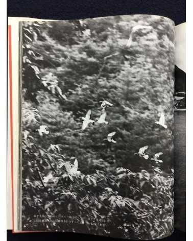 Kenji Higuchi - Photo Document Island of Poison Gas - 1983