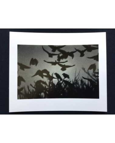 Masahisa Fukase - Ravens Special Edition with original print "Kanazawa" - 2008