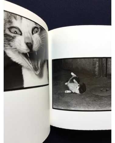 Masahisa Fukase - Afterword - 2016