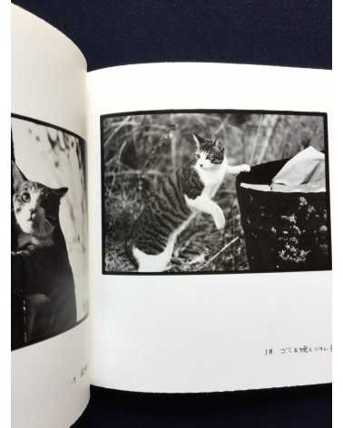 Masahisa Fukase - Afterword - 2016