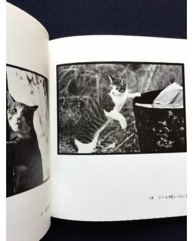 Masahisa Fukase - Afterword - 2016