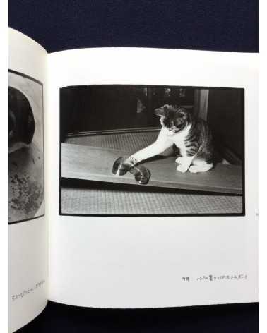 Masahisa Fukase - Afterword - 2016