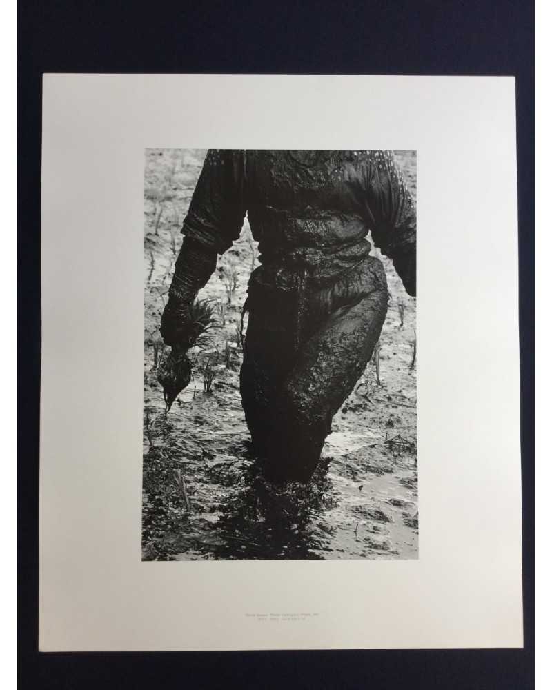 Hiroshi Hamaya - Woman Planting Rice, Toyama, 1955 - 1991