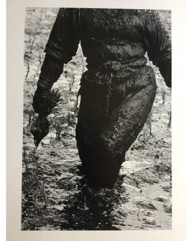 Hiroshi Hamaya - Woman Planting Rice, Toyama, 1955 - 1991