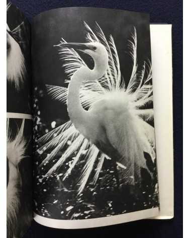 Tokutaro Tanaka - White Egret - 1961