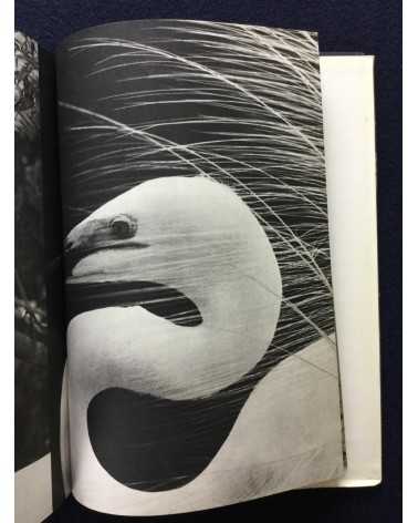 Tokutaro Tanaka - White Egret - 1961