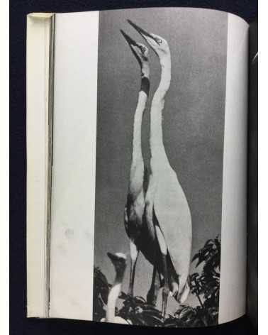 Tokutaro Tanaka - White Egret - 1961