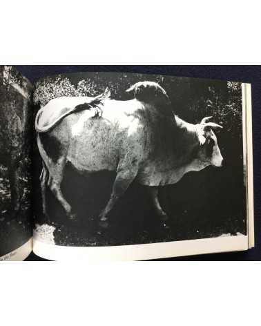 Hitomi Watanabe - An Invisible Landscape, Photographs of India - 1983