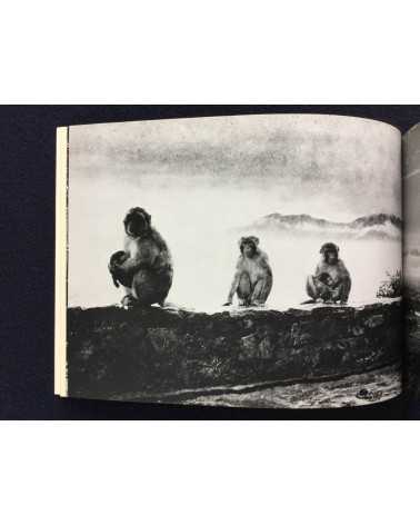 Hitomi Watanabe - An Invisible Landscape, Photographs of India - 1983