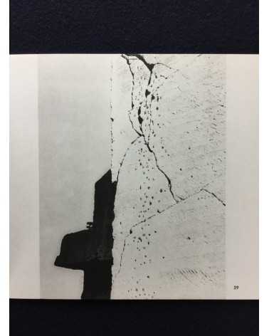 Kiyoshi Niiyama - Poetry of stones and trees - 1970