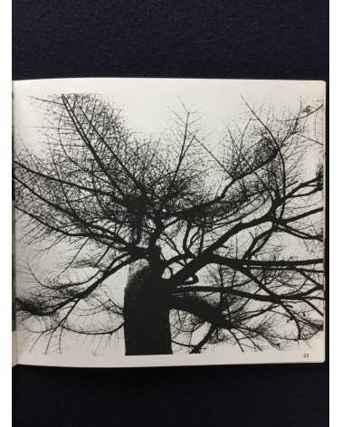 Kiyoshi Niiyama - Poetry of stones and trees - 1970