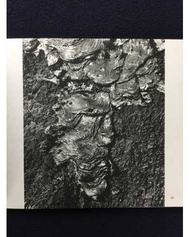 Kiyoshi Niiyama - Poetry of stones and trees - 1970