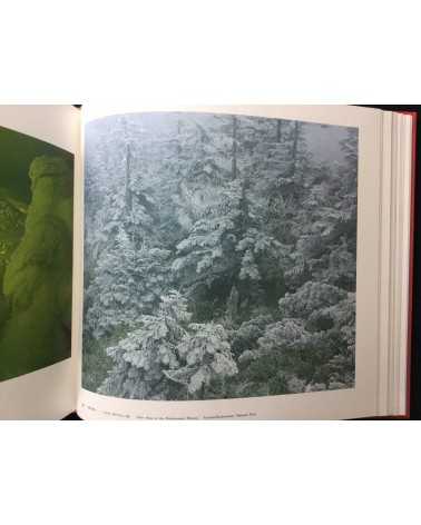 Yoichi Midorikawa - Scenic Beauty, Great natural beauty - 1983