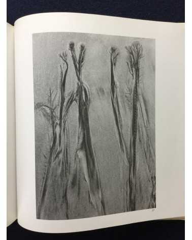 Kazukuni Shimizu - Composition of Sand [Signed] - 1982